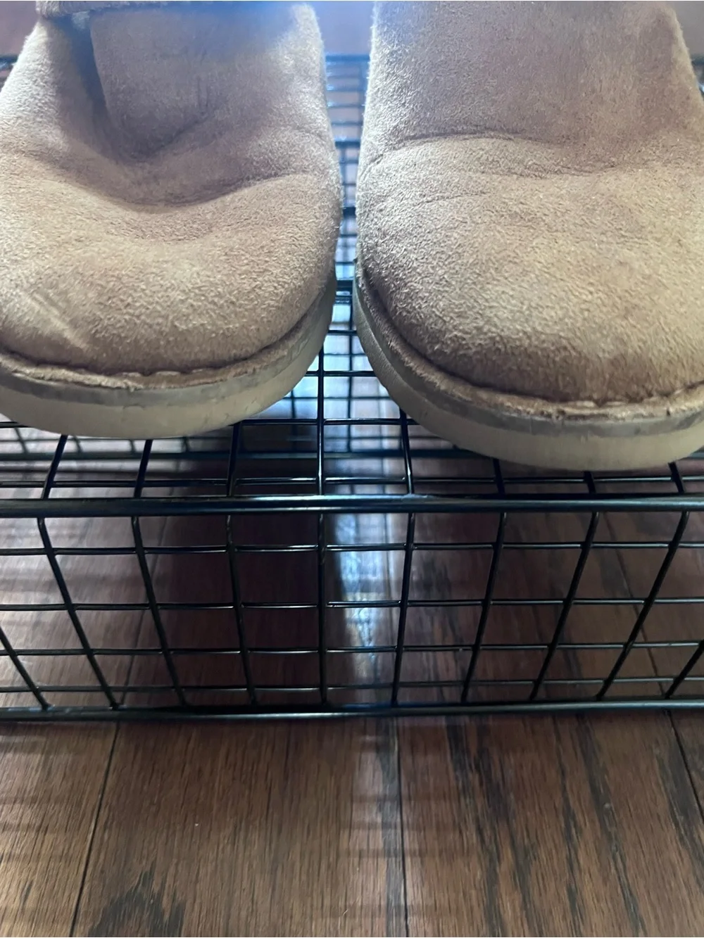 UGG Women's Chestnut Suede Ankle Booties with Cream Shearling